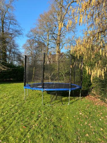 Κήπος έξω από το Chichester Retreat with Large Private Mature Garden