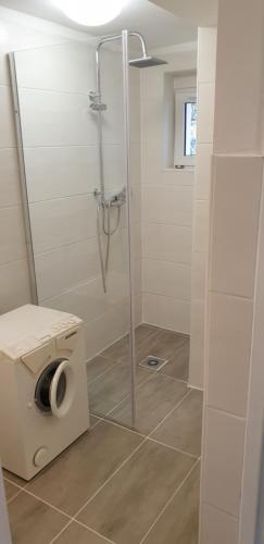 a bathroom with a shower and a roll of toilet paper at Betterhome Apartments am Stadion in Graz