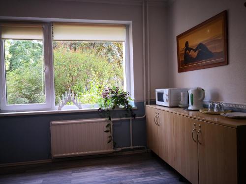 una cucina con forno a microonde e una finestra di KAMBARIŲ nuoma Kaune - a Kaunas