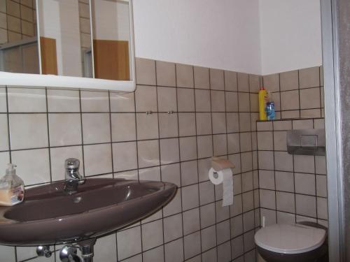 y baño con lavabo y aseo. en Ferienhaus und Ferienwohnung Knappstein, en Möhnesee
