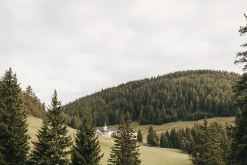 a view of a mountain with trees and a field at Maria Waldrast in Matrei am Brenner