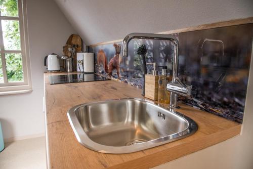 a stainless steel sink in a kitchen counter at Casa Allegria - Zuiderbosch in Bergen