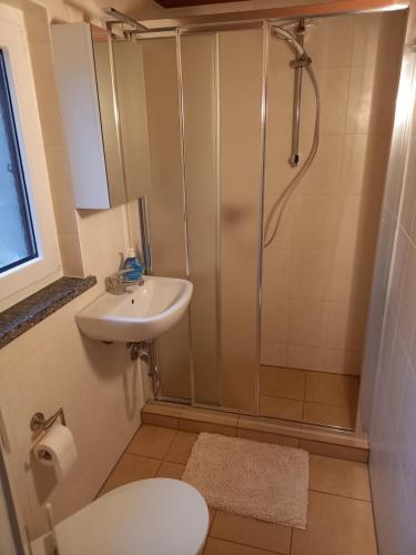 een badkamer met een douche, een wastafel en een toilet bij Ferienhaus direkt am See in Bad Saarow