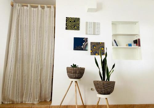 two plants on stands in a room with a curtain at Ca' Santa Barbara, Free Wi-fi, Sea view, Sal Rei, Boa Vista, Cape Verde in Sal Rei