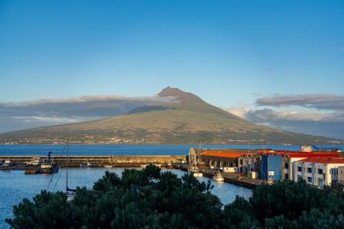 a view of a harbor with a mountain in the background at Hotel do Canal in Horta