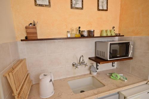 une cuisine avec évier et four micro-ondes sur un comptoir dans l'établissement אירוח הר אודם, à Odem