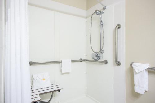 Koupelna v ubytování Holiday Inn Roanoke - Tanglewood Route 419 & I 581, an IHG Hotel