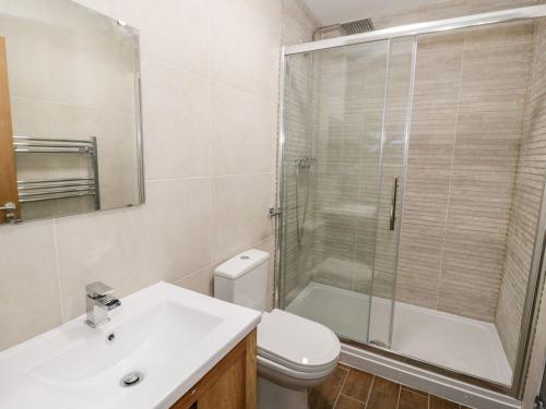 een badkamer met een toilet, een wastafel en een douche bij The Blue Lion in Cynwyd