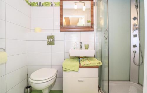 a bathroom with a toilet and a sink and a shower at Ferienhaus In Heiligenbrunn in Heiligenbrunn