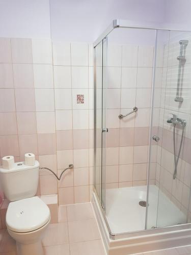 La salle de bains est pourvue d'une douche et de toilettes. dans l'établissement Noclegi-Nowadeba, à Tarnowska Wola