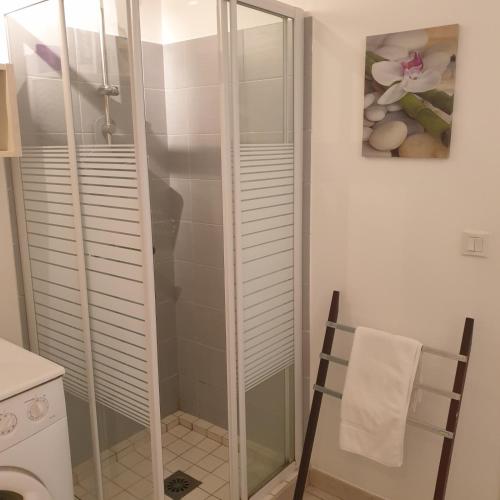 une douche avec une porte vitrée dans une salle de bain dans l'établissement Appart RDC ALZETU CLIMATISE - 2 MIN PLAGE - PISCINE, à Lecci
