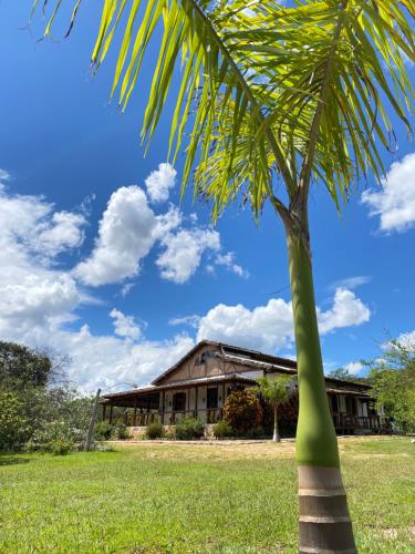 a palm tree in front of a building at Pousada São Gonçalo in São Gonçalo do Rio das Pedras