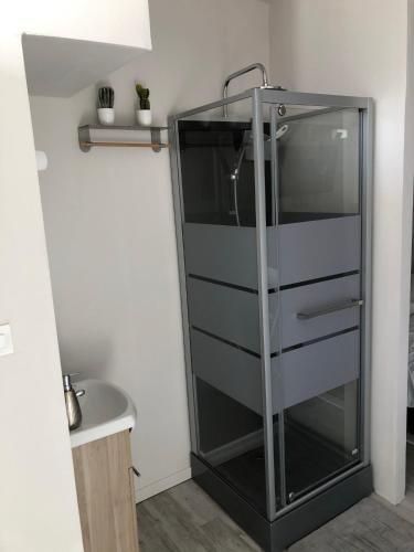 une douche en verre dans une salle de bain avec un lavabo dans l'établissement Joli studio meublé proche de la plage, à Veules-les-Roses