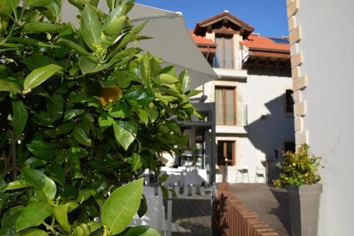 a green tree in front of a white building at Tinas de Pechon in Pechón
