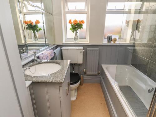 a bathroom with a toilet and a sink and a tub at Lion House in Newton Abbot