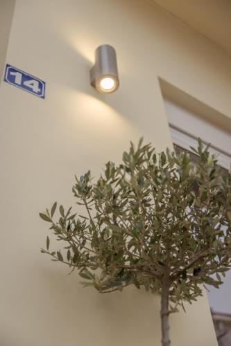 Fotografie z fotogalerie ubytování The 3 Brothers' Apts ve městě Chania