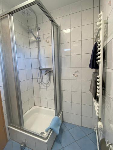 a shower with a glass door in a bathroom at Ferienwohnung am Hirschkopf in Baiersbronn
