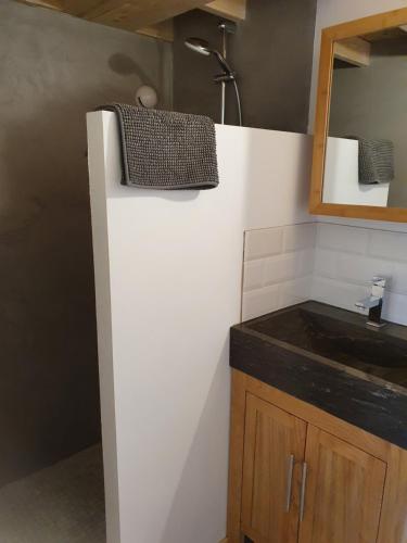 La salle de bains est pourvue d'un lavabo et d'un miroir. dans l'établissement Angers Green Lodge - Cosy Studio, à Angers