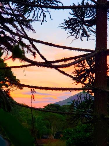 a view of a sunset through the branches of trees at Casa Fazenda Inglesa Petrópolis RJ in Petrópolis