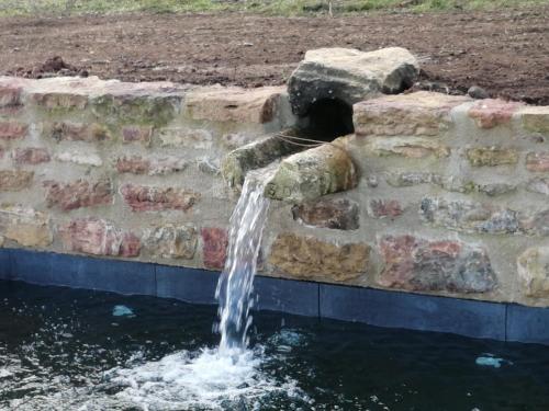 Photo de la galerie de l'établissement Pivoines, à Saint-Julien