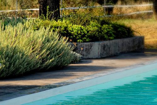 Olivemareの敷地内または近くにあるプール