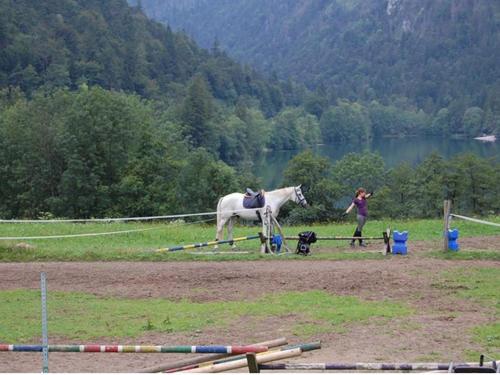 a woman walking a white horse in a field at Hotel- Pension Oechsner in Bad Reichenhall