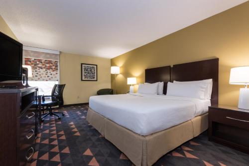 Cette chambre comprend un grand lit et une télévision. dans l'établissement Holiday Inn Lumberton, an IHG Hotel, à Lumberton