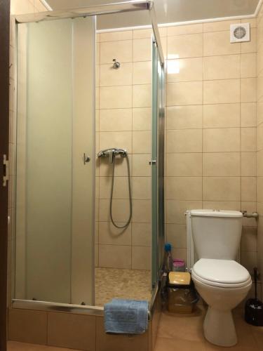 a bathroom with a shower with a toilet at Apartment complex in Sumy