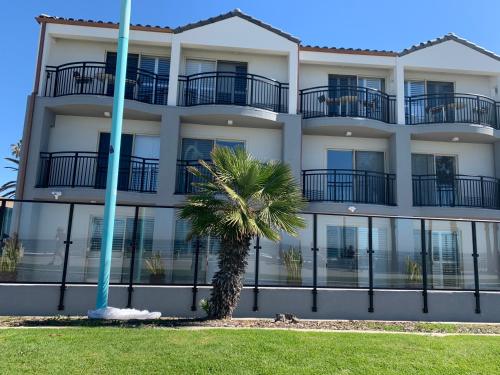 a building with a palm tree in front of it at Ocean Park Inn in San Diego
