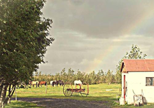 HólmabæirにあるRauðuskriður farmのギャラリーの写真