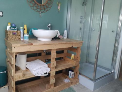 uma casa de banho com um lavatório e um chuveiro em Chambre à Villemandeur Chez L'habitant em Villemandeur