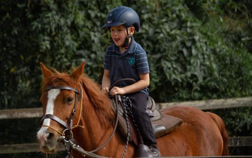 a young boy is riding on a horse at Hotel Fazenda Dona Carolina in Itatiba