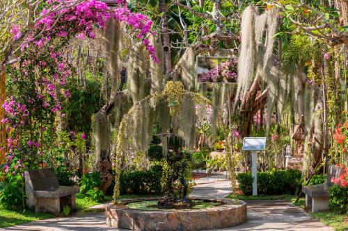 a garden with weeping trees and flowers at Thavorn Beach Village Resort & Spa Phuket in Kamala Beach