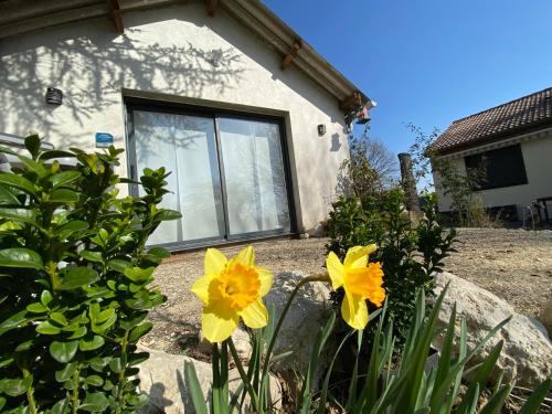um grupo de flores amarelas em frente a uma casa em Cottage-Gite & Jacuzzi - Chez Flo & Marc em Chouzy-sur-Cisse