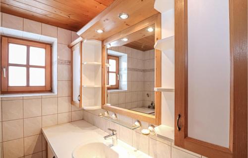 a bathroom with a sink and a mirror at Beautiful Home In Ebbs With House A Panoramic View in Rettenschöss
