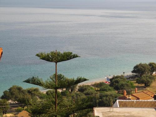 a view of the beach and a palm tree at Milka Studios in Barbati