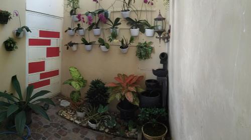 a bunch of potted plants on a wall at Villa Gumilang in Batu