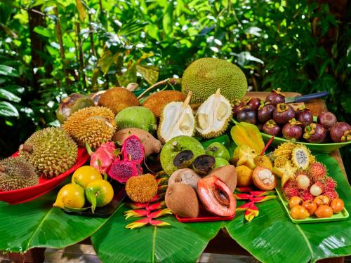 a bunch of different types of fruits on a table at Cape Trib Farm in Cape Tribulation