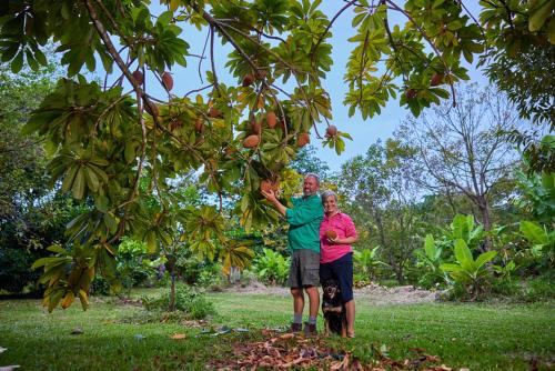 a man and woman standing under a tree with a dog at Cape Trib Farm in Cape Tribulation