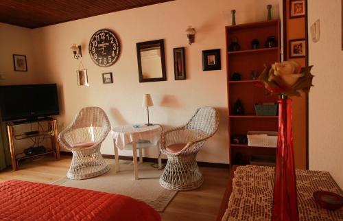 Χώρος καθιστικού στο Apartmen Grdan in Porat