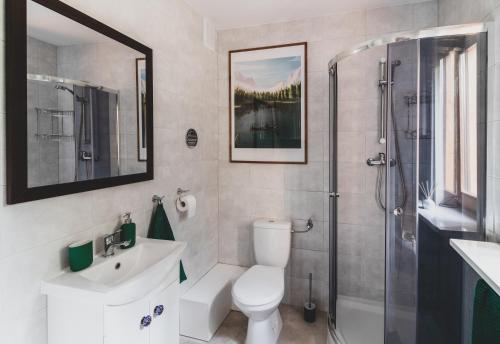 a bathroom with a shower and a toilet and a sink at Jarzębinowa - Dom do wynajęcia na Podlasiu in Łuka