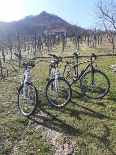 two bikes parked in a field in a vineyard at Smaragd in Doba