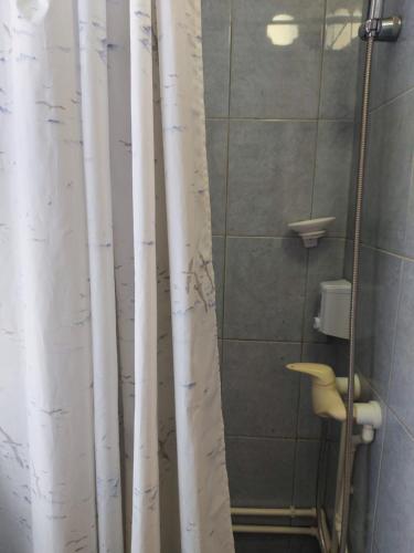a shower with a white shower curtain in a bathroom at Guest House Pavlovic in Soko Banja