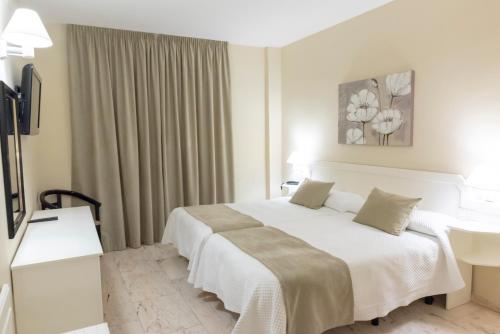 um quarto de hotel com uma cama e uma secretária em Hotel Ramomar em Tomelloso