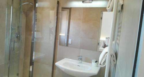 a bathroom with a sink and a shower at Soggiorno Lo Stellino in Siena