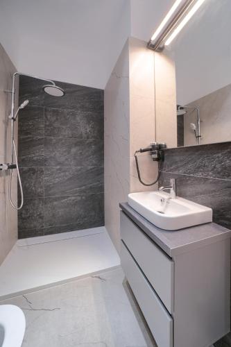 a bathroom with a sink and a shower at Elysium Residence in Timişoara