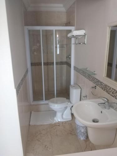 a bathroom with a shower and a toilet and a sink at Winchester Place in Port Elizabeth