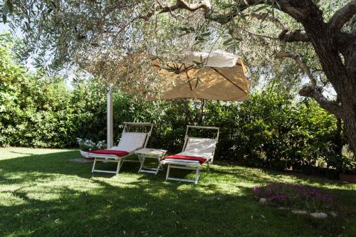 Κήπος έξω από το Villa Tramonto luxury apartment with private swimming pool