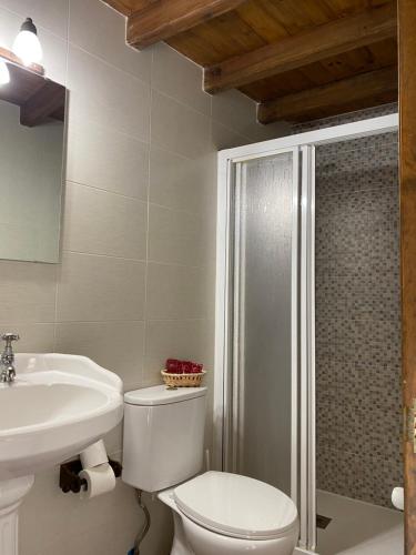 uma casa de banho com um WC, um lavatório e um chuveiro em Hotel rural Rinconada de las Arribes em Aldeiadávila da Ribera