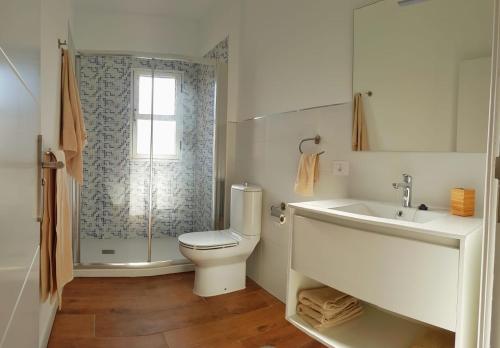 uma casa de banho com um WC, um lavatório e um chuveiro em La Pardela em Valle Gran Rey